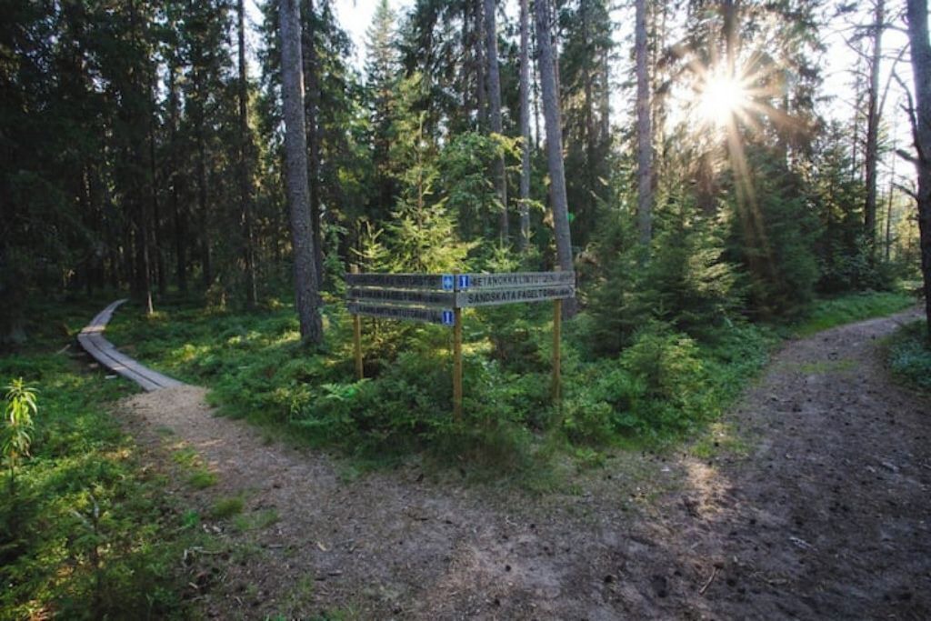 Photo of Outdoor in Leppavaara