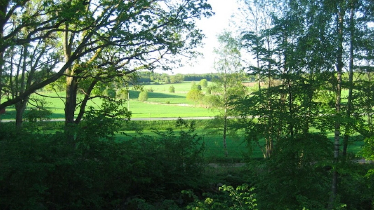 Photo of Outdoor in Horby
