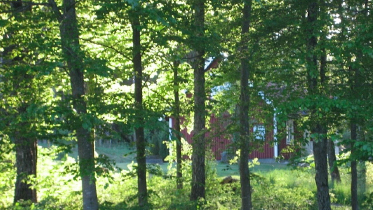 Photo of Others in Horby