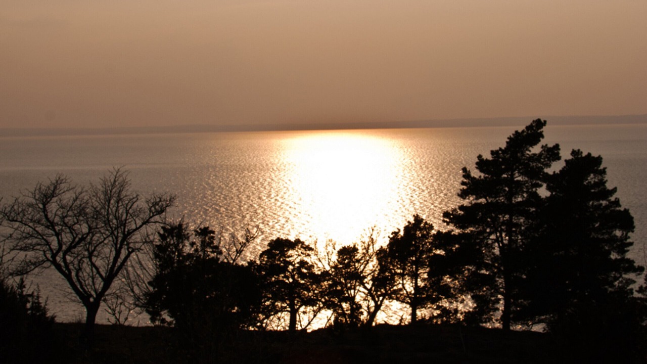 Photo of Others in Odeshog Municipality