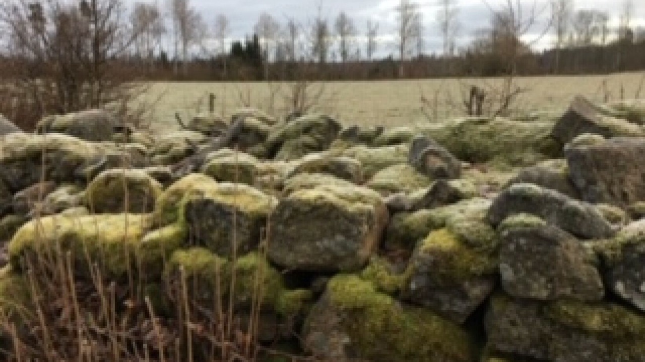 Photo of Others in Skruv