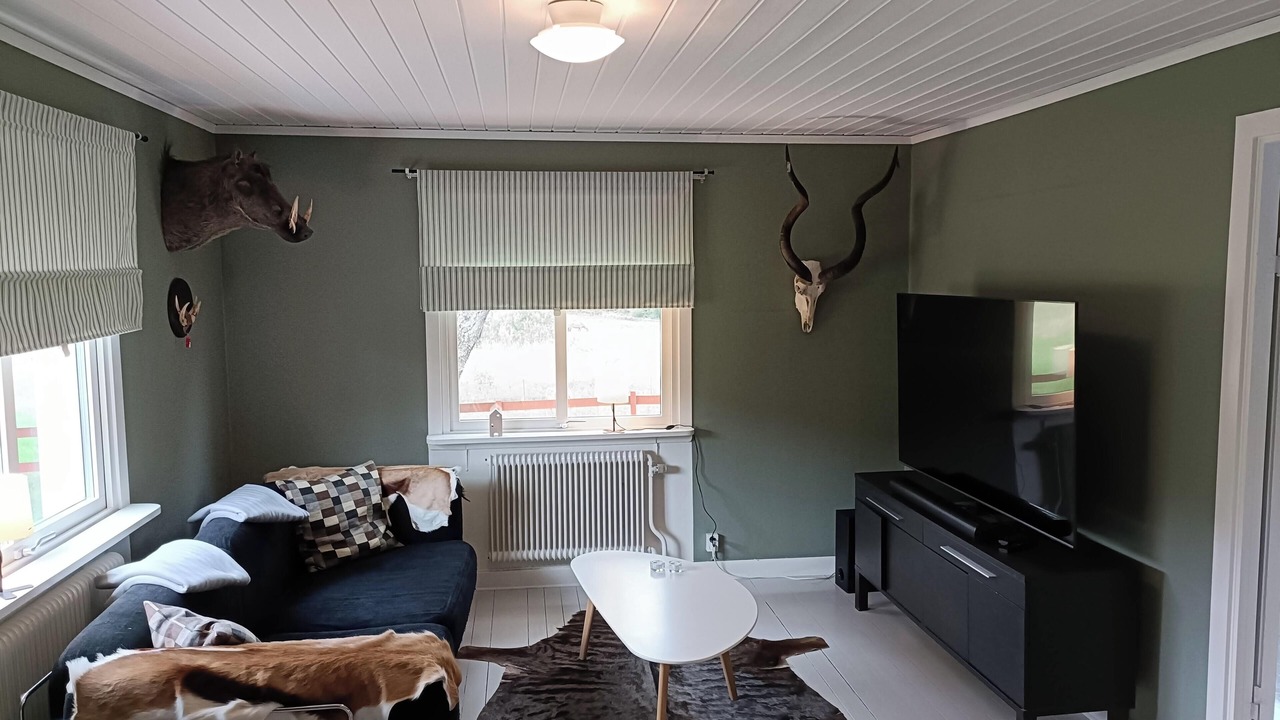 Photo of Livingroom in Rimforsa