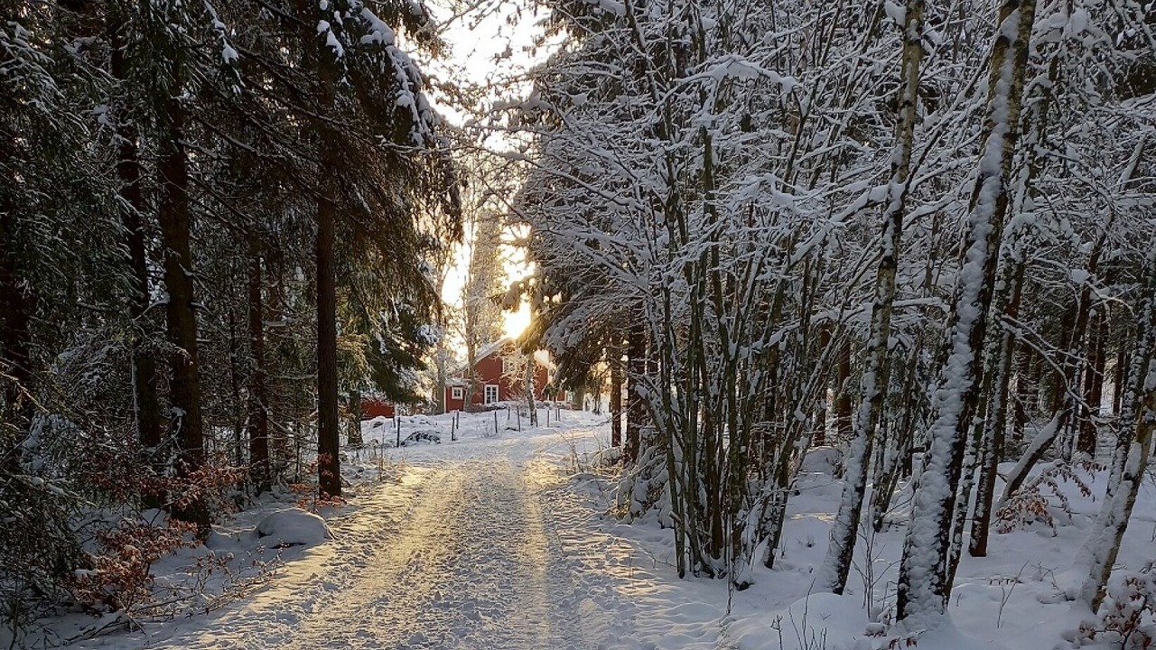 Photo of Others in Anneberg