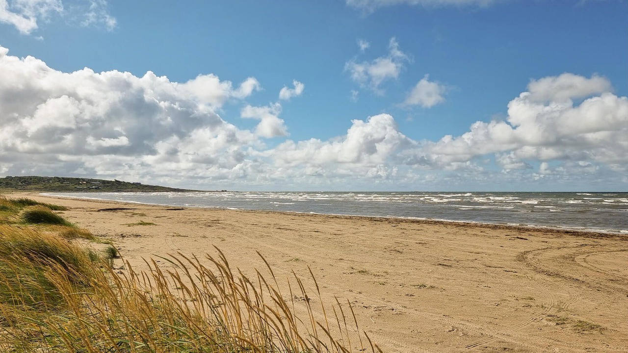 Photo of Others in Falkenberg