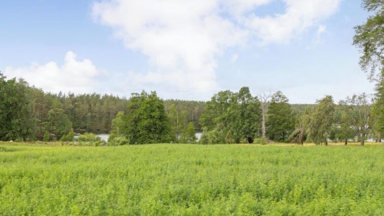 Photo of Others in Oskarshamn Municipality