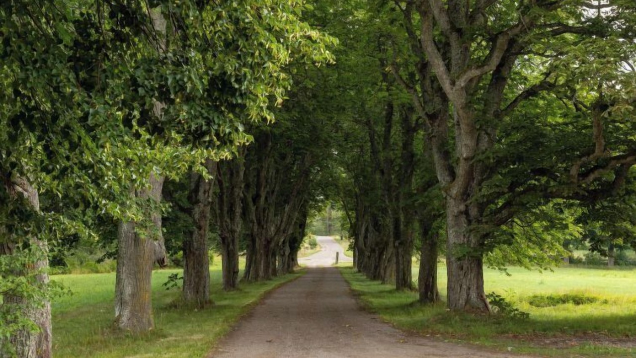 Photo of Outdoor in Oskarshamn Municipality
