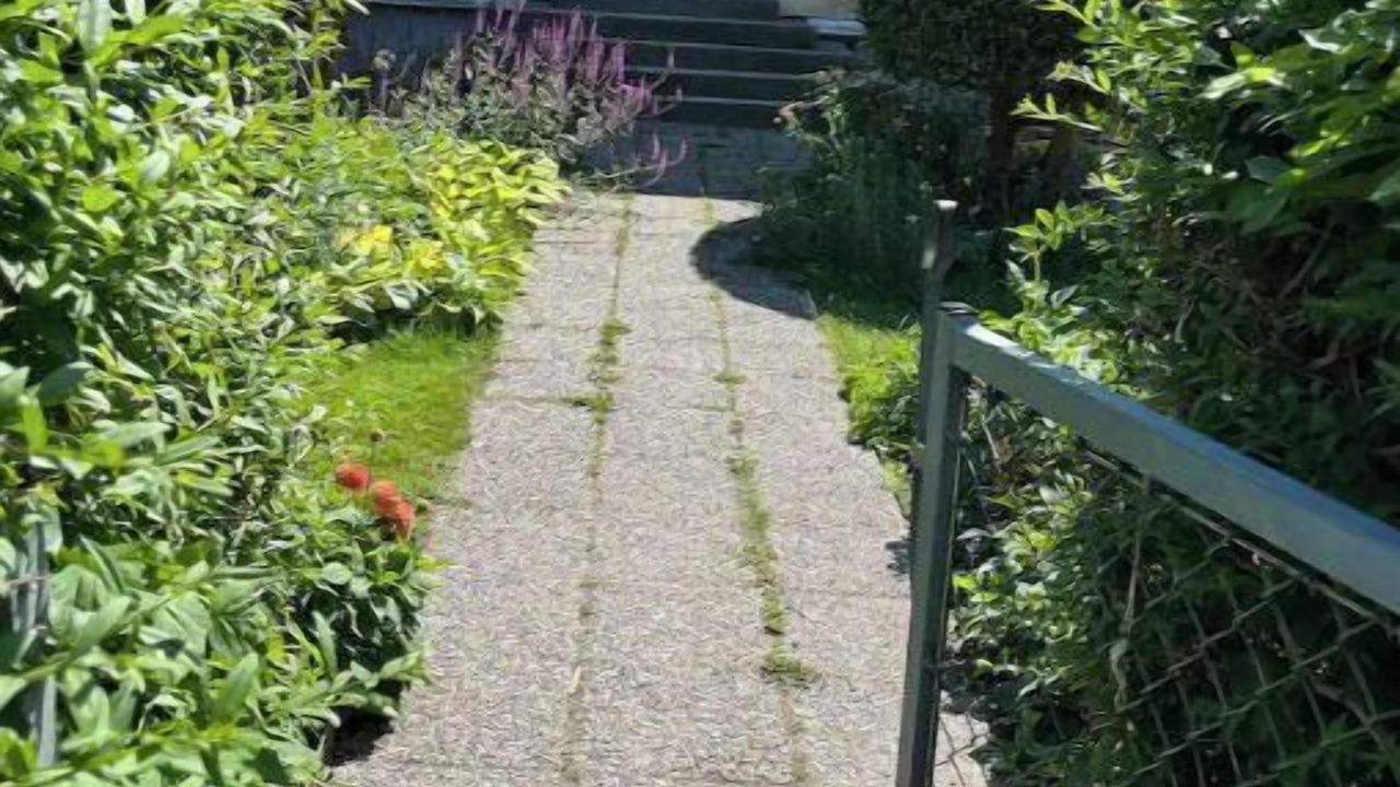 Photo of Outdoor in Kungsladugard