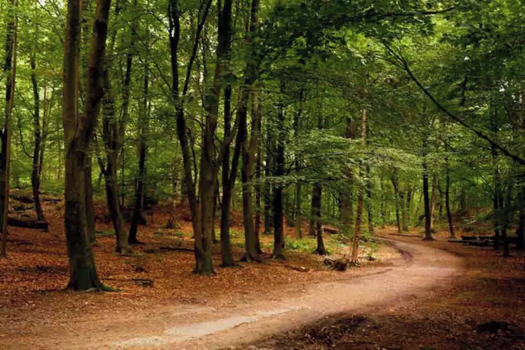Photo of Outdoor in Kungsladugard