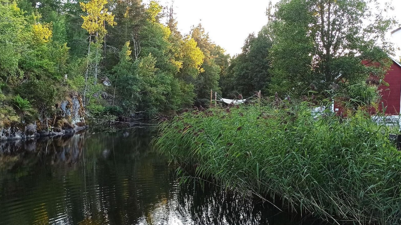 Photo of Outdoor in Virserum