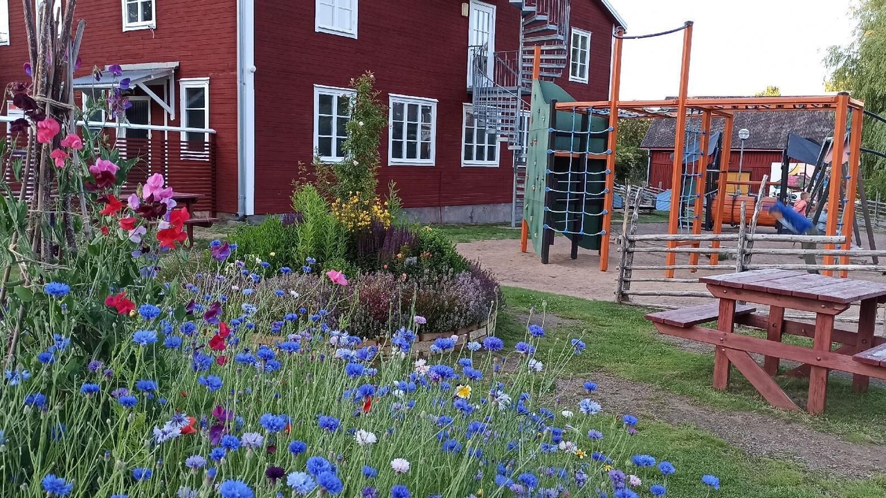 Photo of Outdoor in Virserum