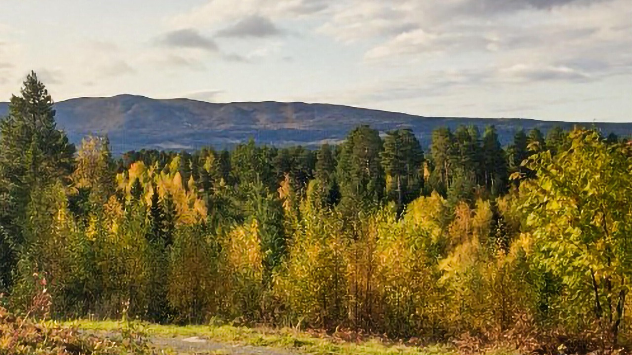 Photo of Bedroom in Ankarvattnet