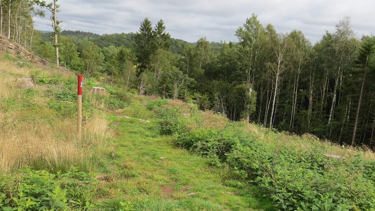 Photo of Others in Munkedal