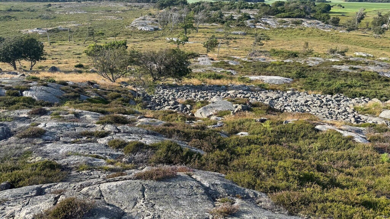 Photo of Others in Grebbestad
