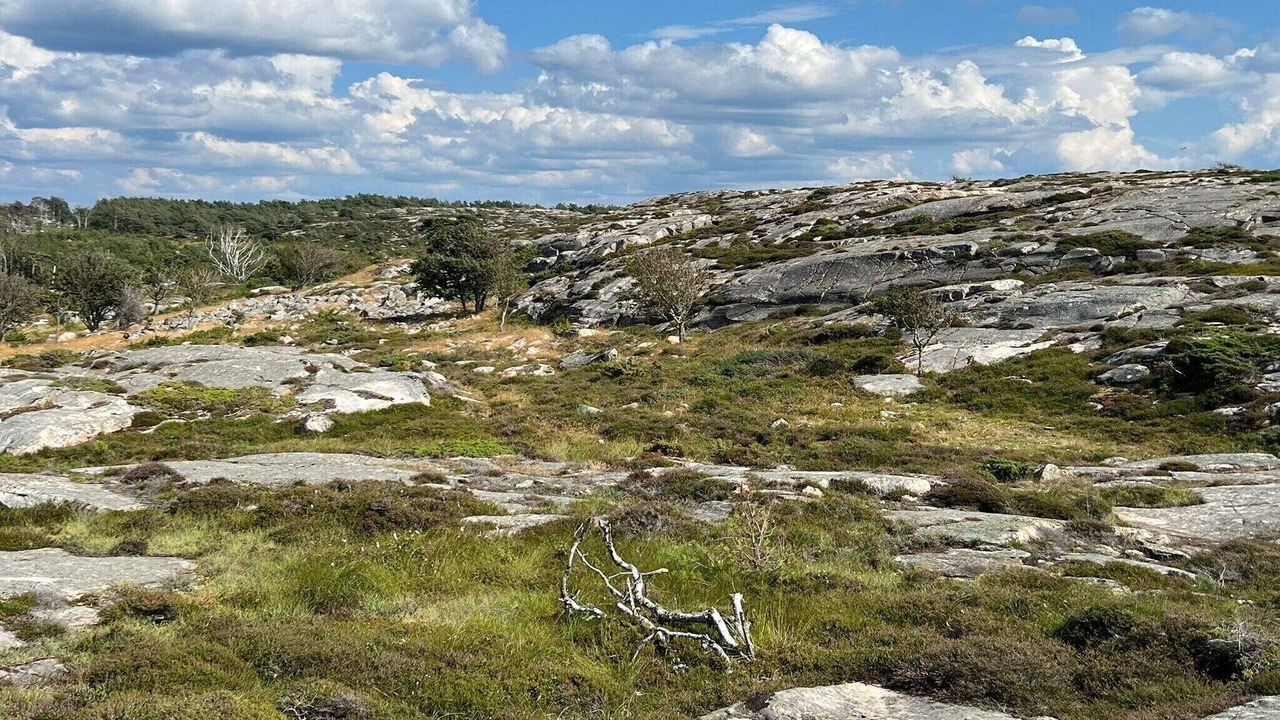 Photo of Others in Grebbestad