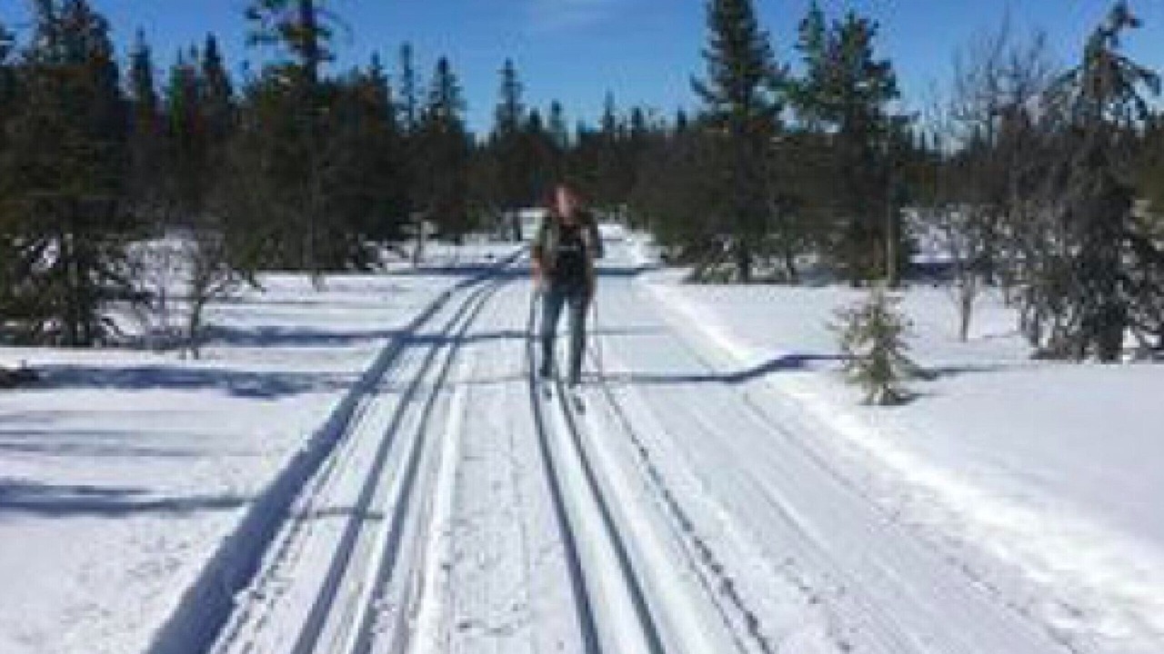 Photo of Others in Hoting