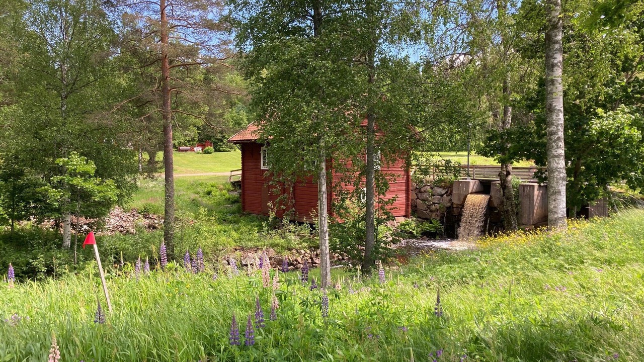 Photo of Outdoor in Ludvika Municipality