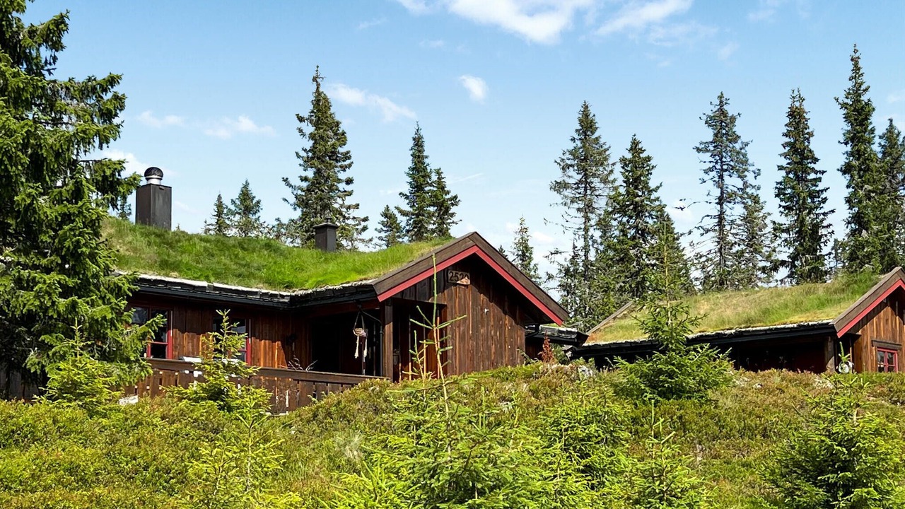 Photo of Others in Sjusjoen