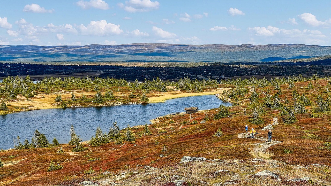 Photo of Others in Sjusjoen
