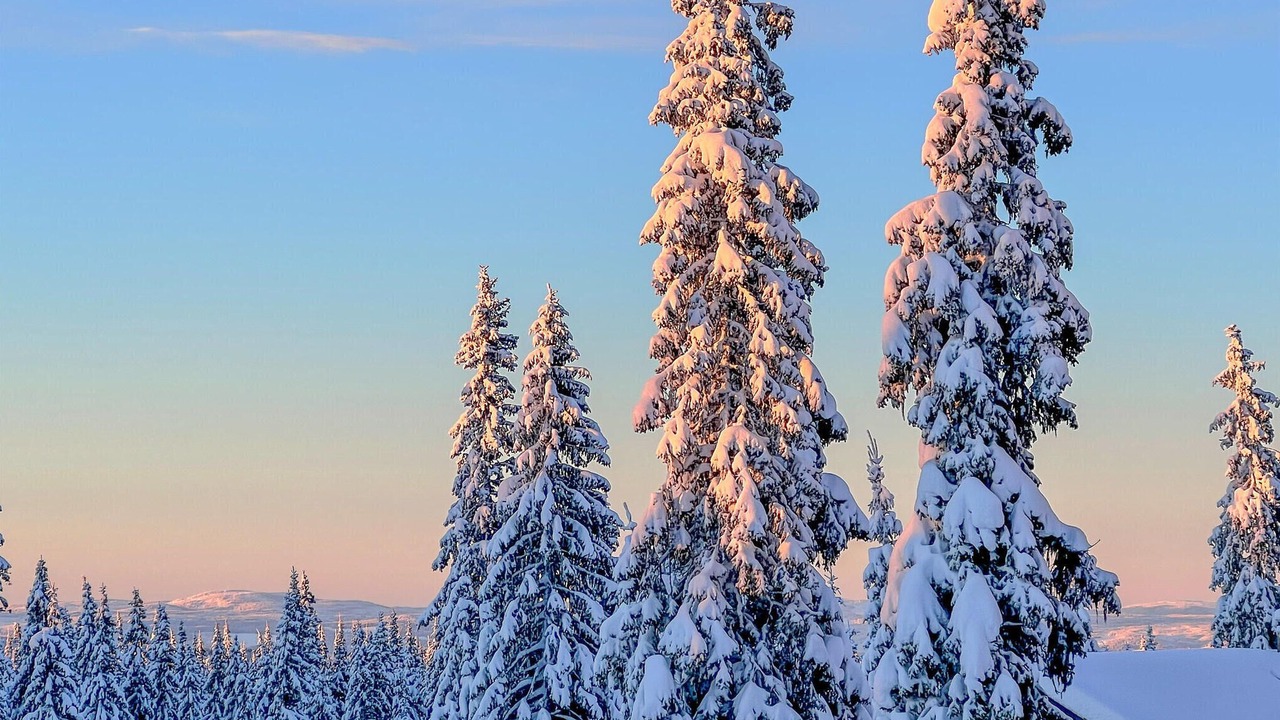 Photo of Others in Sjusjoen