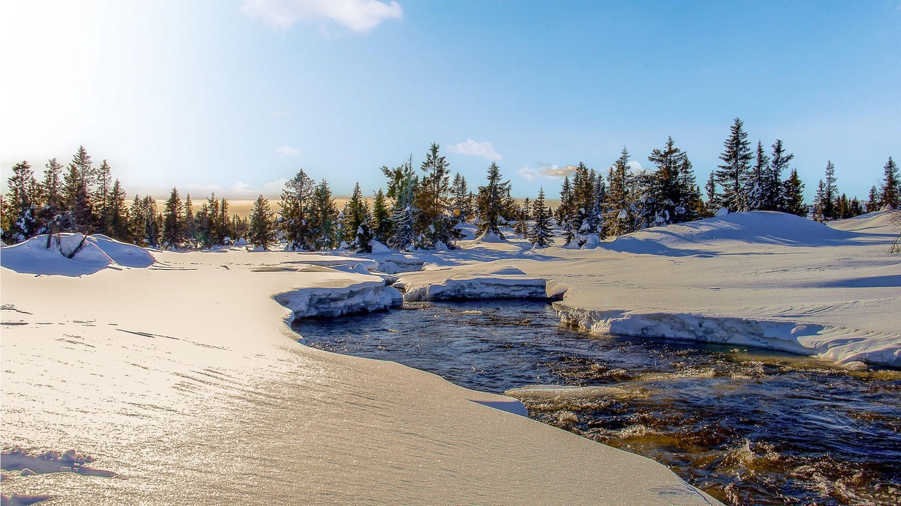 Photo of Others in Sjusjoen