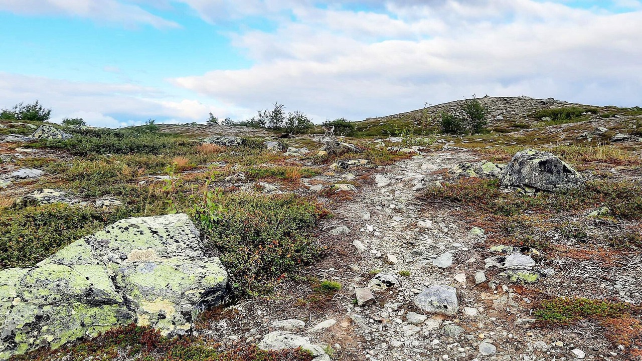 Photo of Outdoor in Are