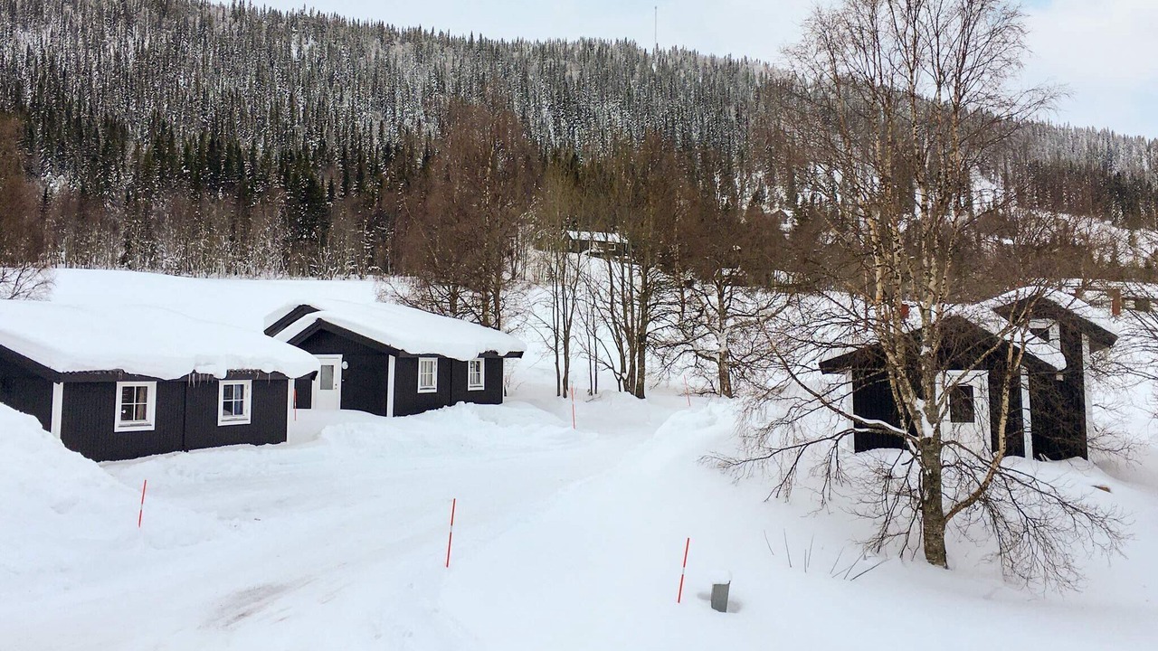 Photo of Outdoor in Are