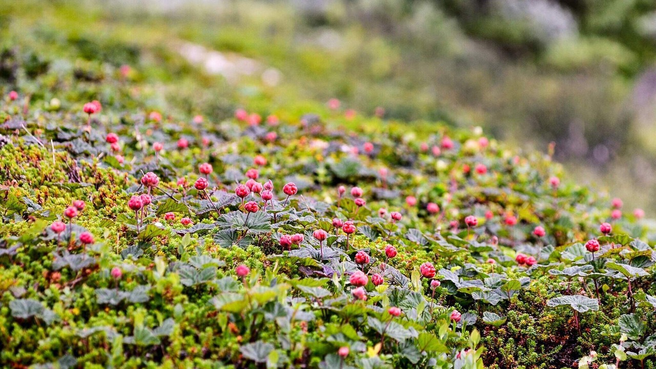 Photo of Outdoor in Are