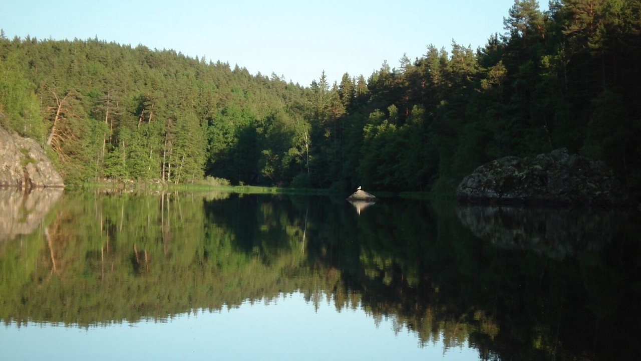 Photo of Others in Mariefred