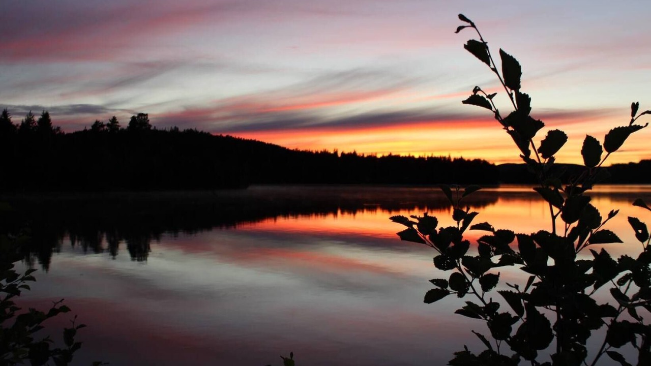 Photo of Outdoor in Svardsjo