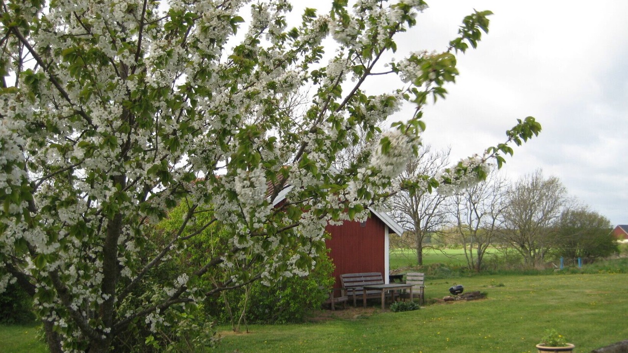 Photo of Outdoor in Storlinge