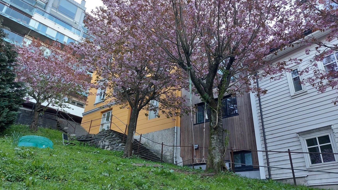 Photo of Outdoor in Sentrum