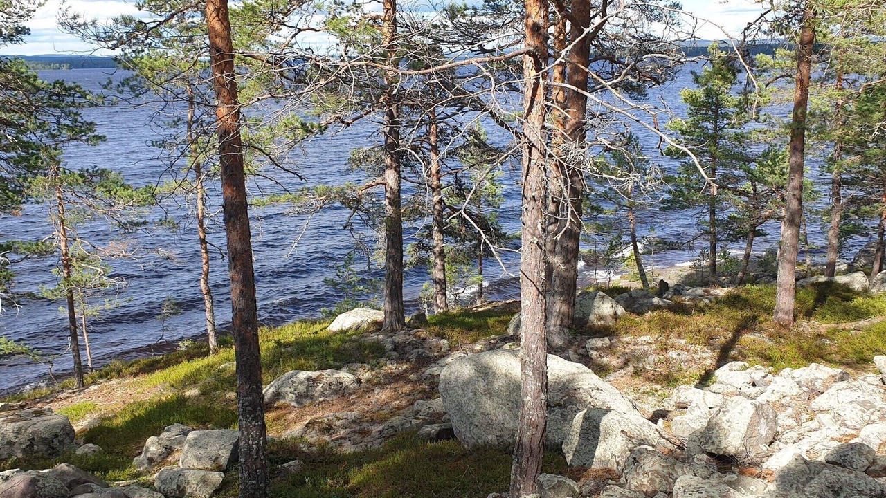 Photo of Others in Romme