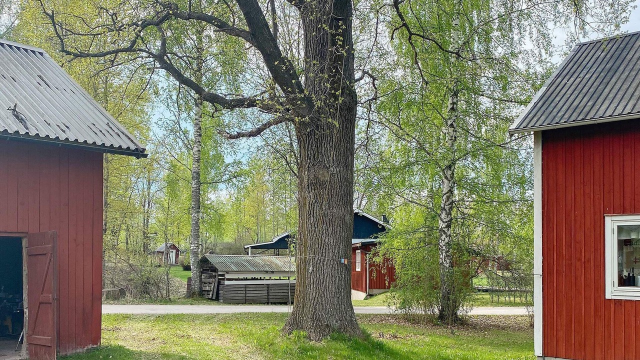 Photo of Outdoor in Romme