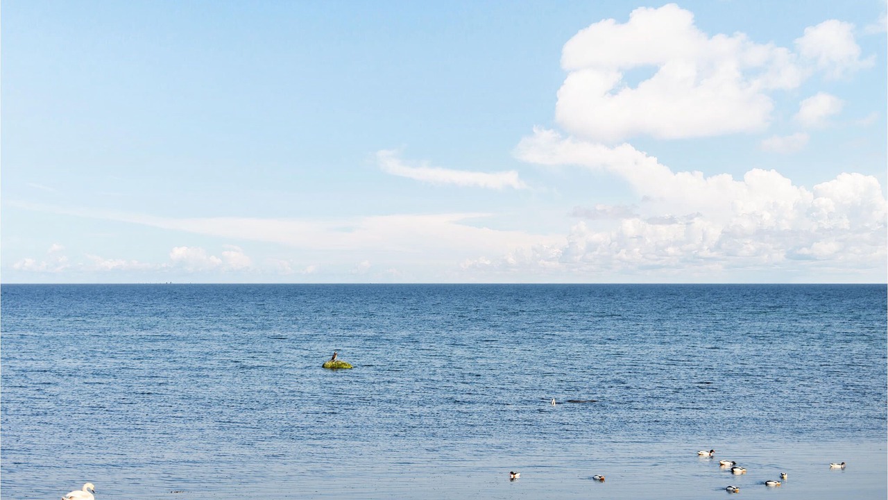 Photo of Others in Beddingestrand