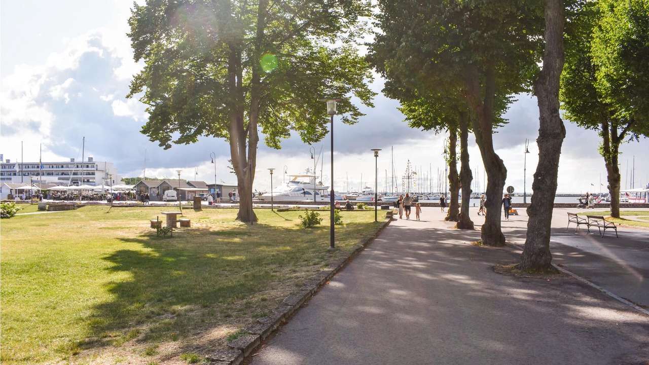 Photo of Others in Fora
