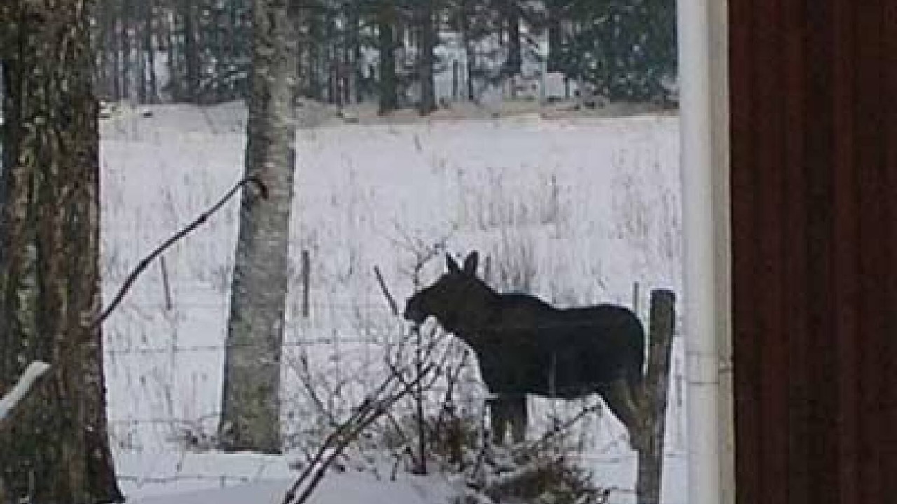 Photo of Others in Ulricehamn