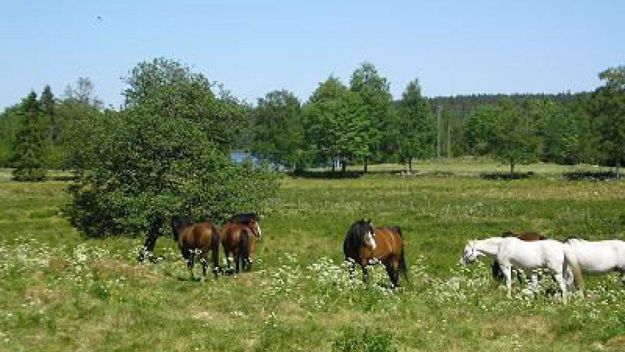 Photo of Others in Ulricehamn