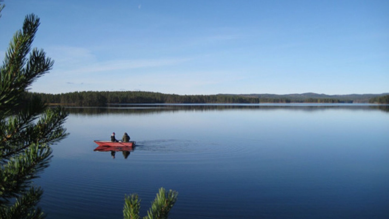 Photo of Others in Mora