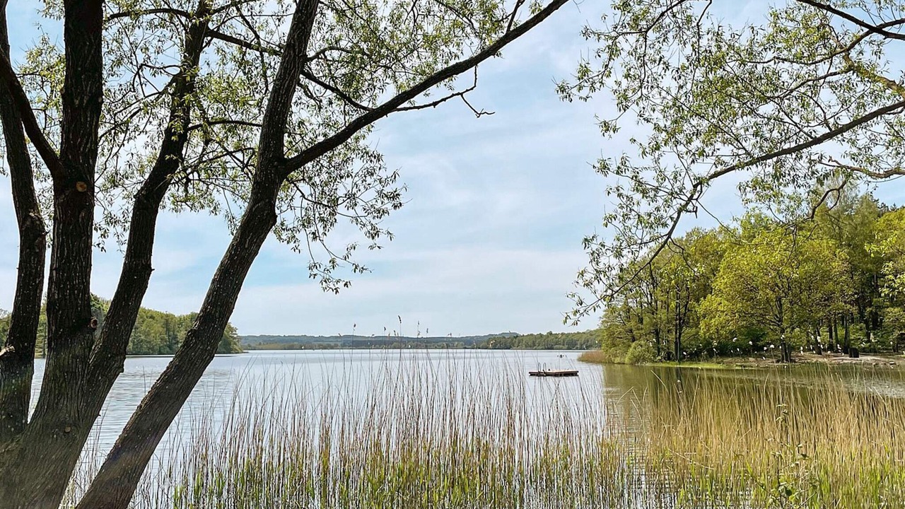 Photo of Others in Gislov