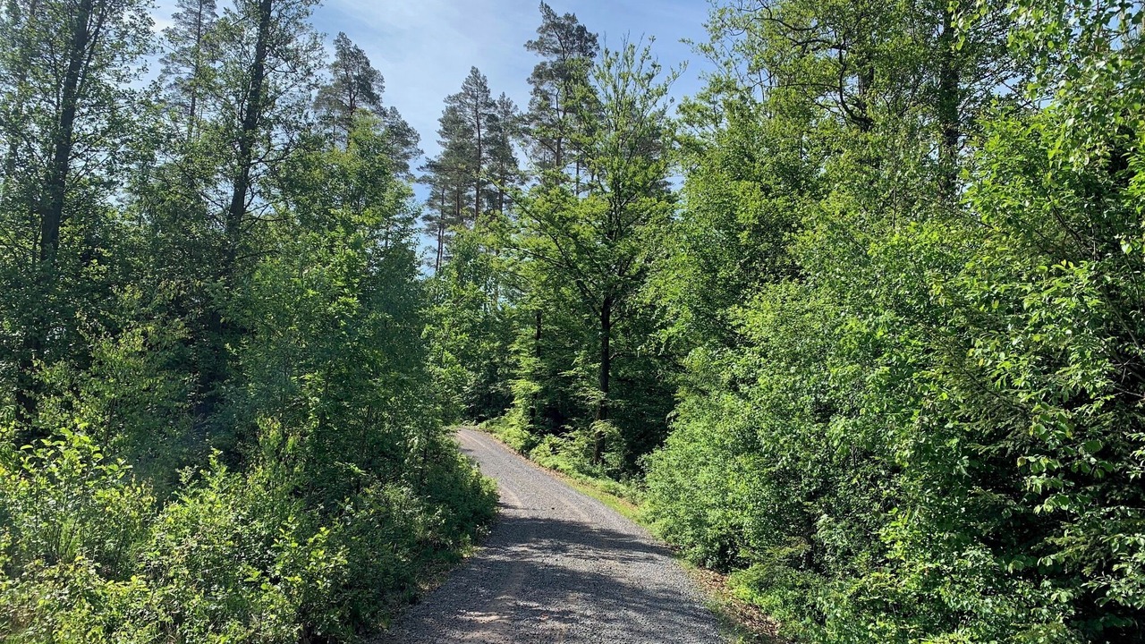 Photo of Others in Immeln