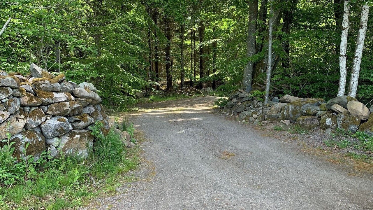 Photo of Outdoor in Immeln