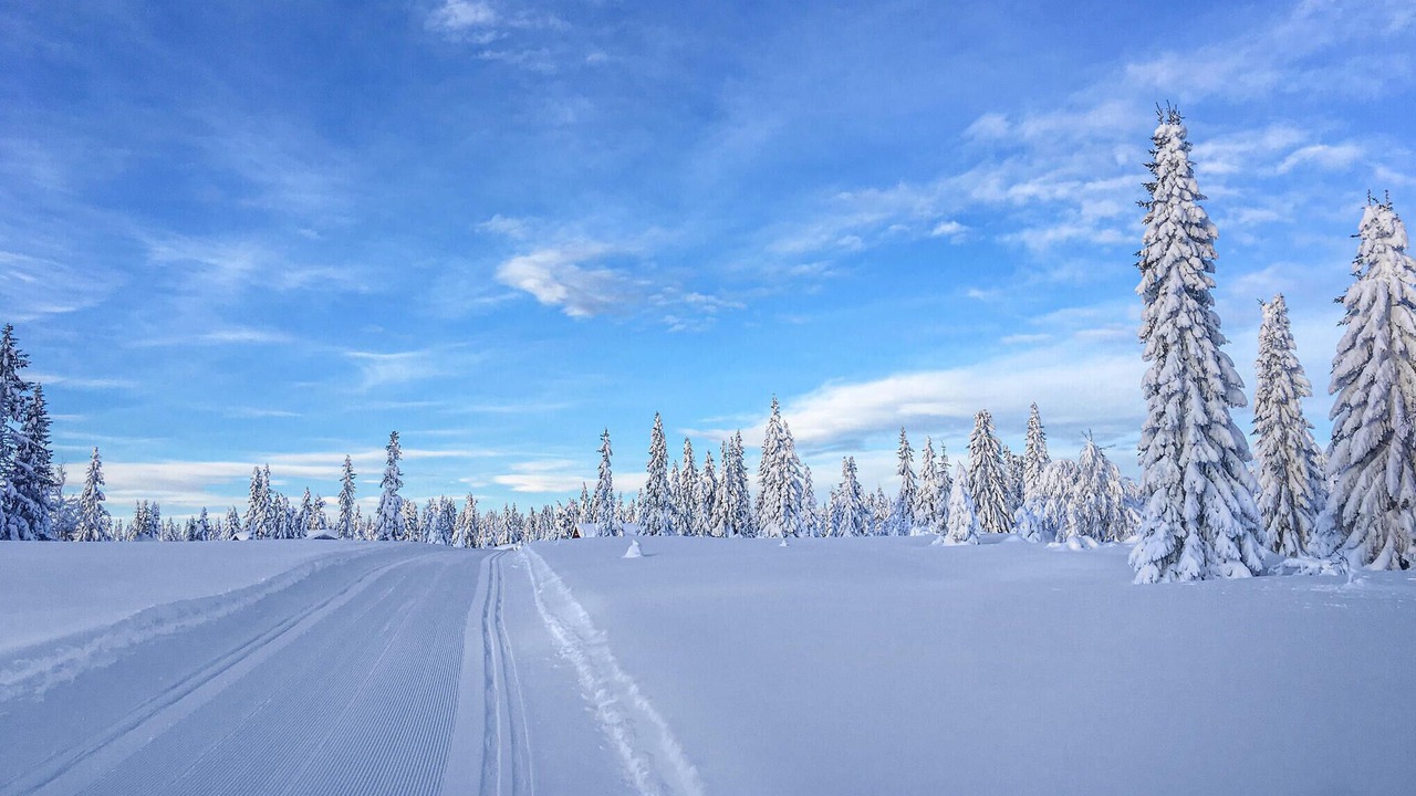 Photo of Others in Lillehammer