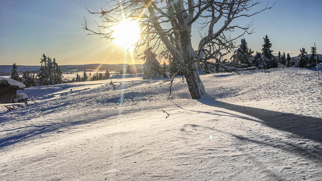 Photo of Others in Lillehammer