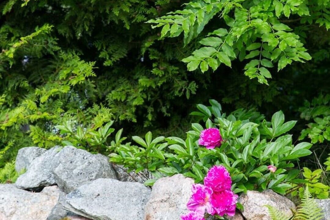 Photo of Outdoor in Strangnas