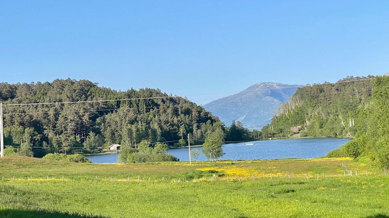 Photo of Outdoor in Hardangerfjord
