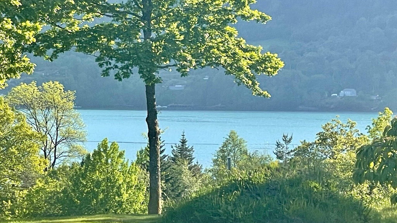Photo of Outdoor in Hardangerfjord