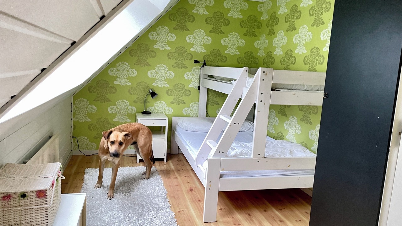 Photo of Bedroom in Axelsro