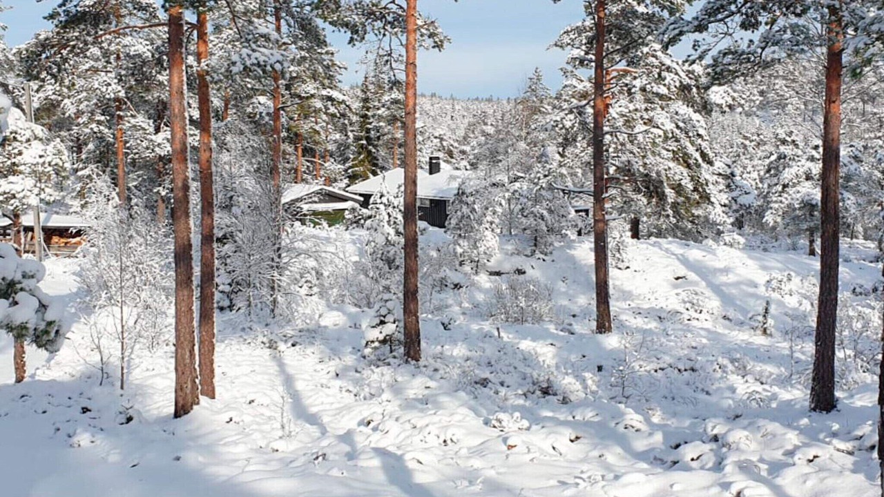 Photo of Others in Halden