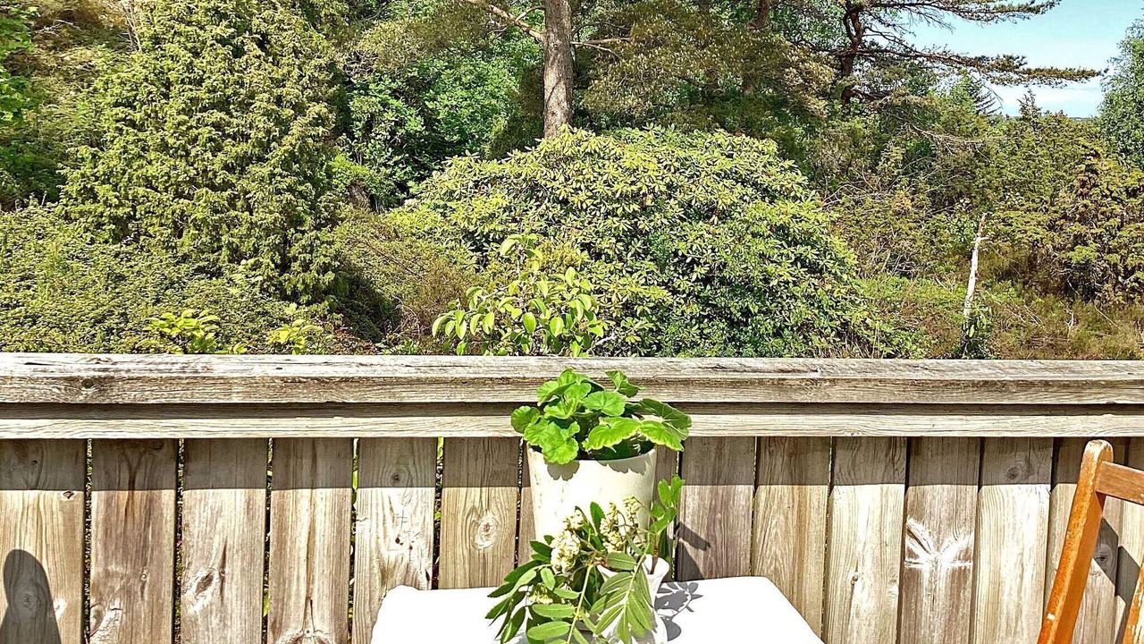 Photo of Outdoor in Munkeby