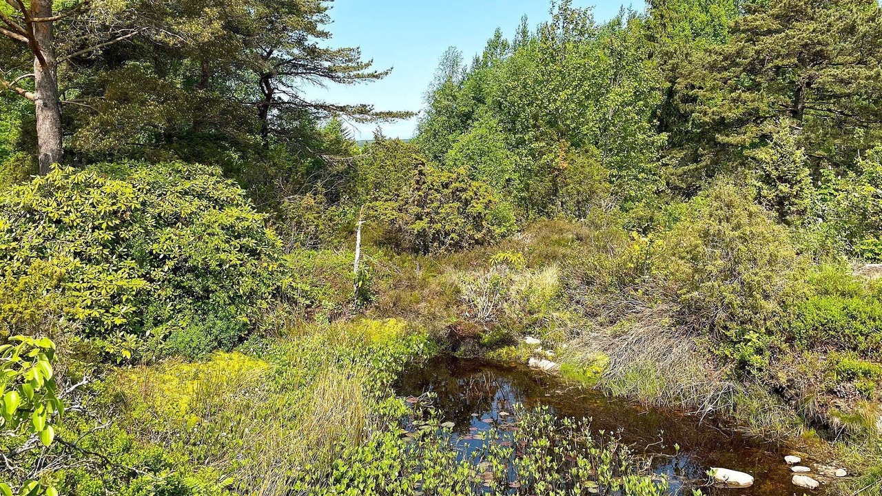Photo of Others in Munkeby
